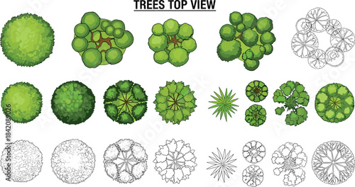 Collection of top-down illustrations of various trees, showcasing their unique shapes and textures for architectural or landscape design purposes