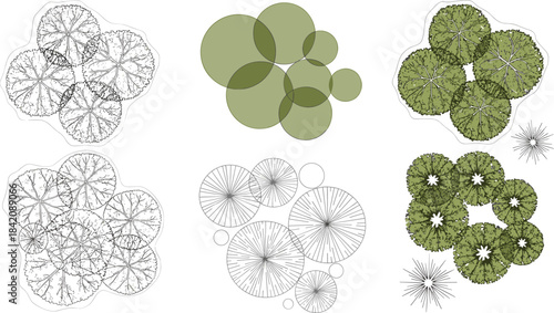 Top-down perspective illustration of various trees and foliage, showcasing diverse patterns and textures
