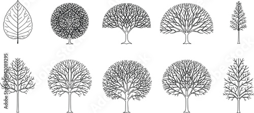 Collection of various stylized tree illustrations, showcasing diverse shapes and forms in a black and white line art style