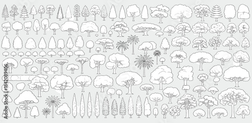 Comprehensive set of diverse tree vector outlines and detailed illustrations, perfect for landscape architecture, urban planning, and environmental graphic design needs