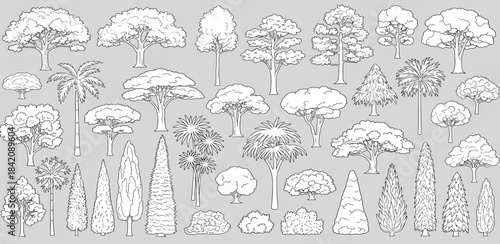Diverse collection of hand-drawn tree and bush outlines, perfect for architectural plans, landscape designs, or graphic illustrations, showcasing various plant shapes and sizes