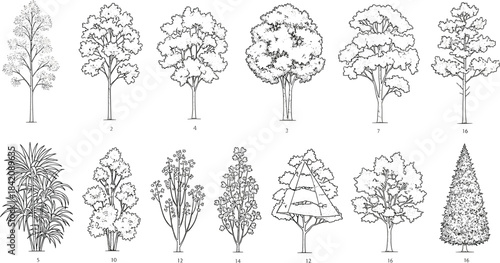A comprehensive set of detailed line art illustrations showcasing a diverse variety of tree and plant species, depicting their unique forms and botanical structures