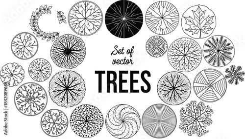 Diverse vector tree top view symbols for architectural and landscape design. Essential graphic elements for urban planning layouts, detailed blueprints, and environmental site plans