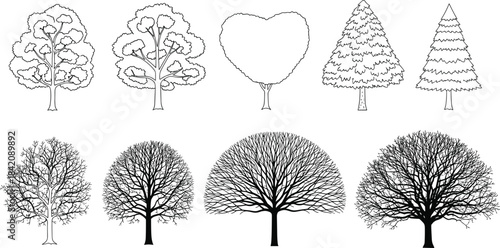Collection of varied tree illustrations showcasing different styles and foliage on a white background from a direct viewpoint