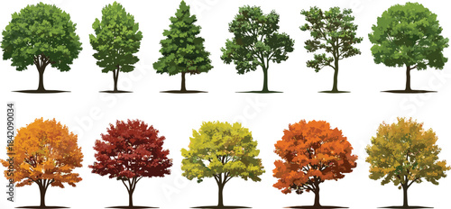 Collection of various deciduous and evergreen trees in different seasons and colors, showcasing nature's beauty