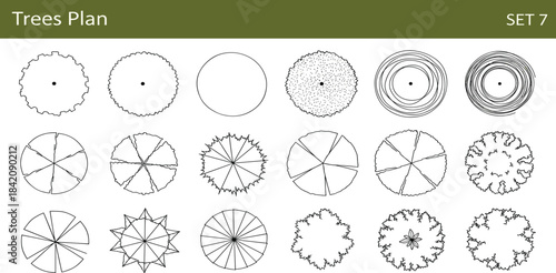 Graphic Illustrations for Nature Enthusiasts