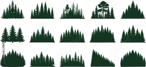 Diverse Evergreen Trees, Forest Scene, Graphic Art, Tranquil Environment, Aerial View, Eco-Friendly Concept