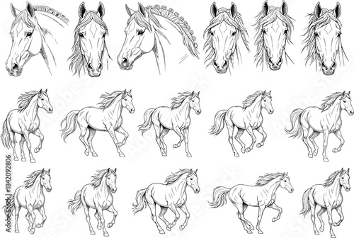A collection of black and white line art sketches featuring horse portraits and galloping figures