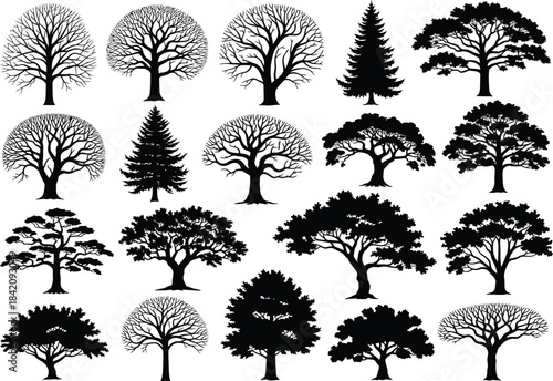 Diverse tree silhouettes set collection illustrating various species and seasons