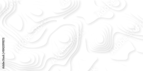 Abstract geography peak white wave paper curved reliefs. Seamless swirl wave contour maps. Vector illustration. topography line map.