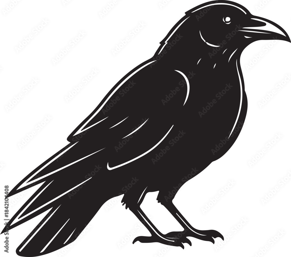 Fototapeta premium Raven Crow Silhouette — Dark Bird Shape, Animal Wildlife Vector Design