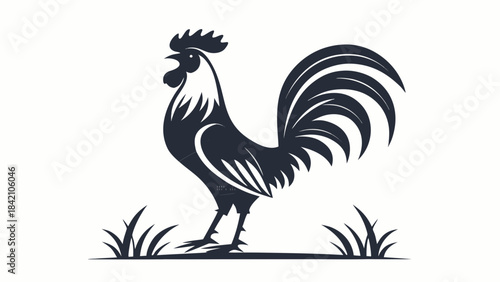 rooster 