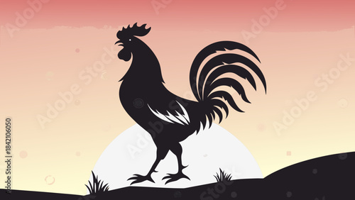 rooster in the sunset
