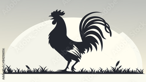 rooster in the grass