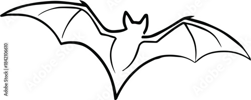 bat vector line drawing with outstretched wings for education