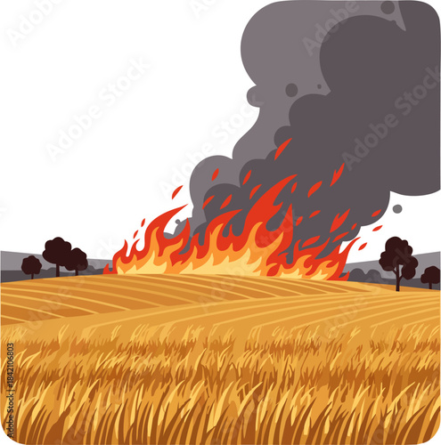 Flat vector illustration of golden wheat field on fire with dark smoke, agriculture disaster and wildfire concept