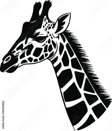 giraffe head profile vector sketch lineart for logo emblem
