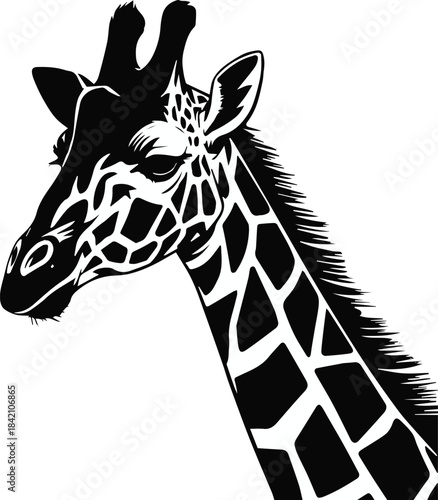giraffe silhouette vector illustration minimal nursery art