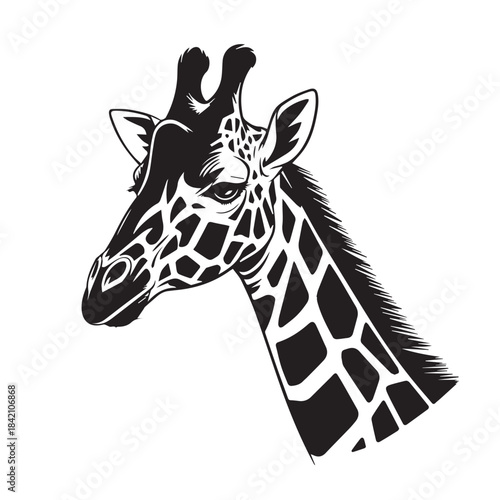 giraffe portrait vector pattern spot texture for nursery