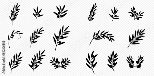Collection of black olive branches and leaves, hand-drawn illustrations on a transparent background, perfect for design elements.