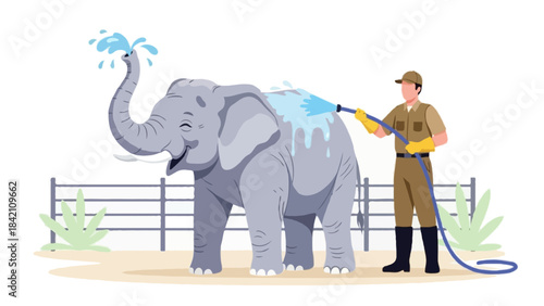 Flat vector Faceless zookeeper washing an elephant with a hose