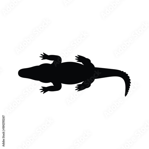 Top view alligator silhouette vector flat illustration design.
