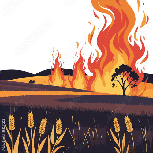 Flat circular vector illustration of burning farmland landscape, abstract golden fields with orange flames and minimalist style