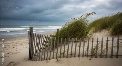 Fototapeta Naklejka Na Ścianę i Meble -  Wooden sand fence protecting dune grass against a stormy ocean backdrop