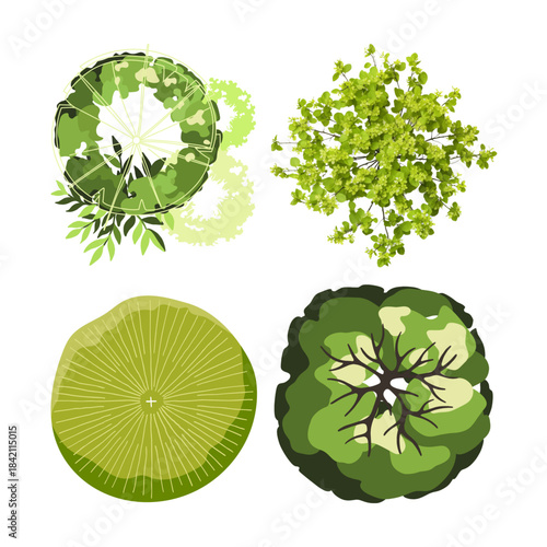 Collection of green leafy vegetable tops in a circular pattern