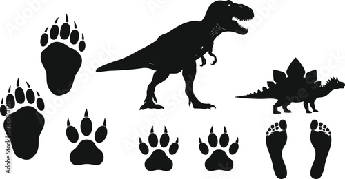 A compelling vector set featuring black silhouettes of Tyrannosaurus Rex and Stegosaurus dinosaurs alongside various animal paw prints and human footprints, representing paleontology and wildlife