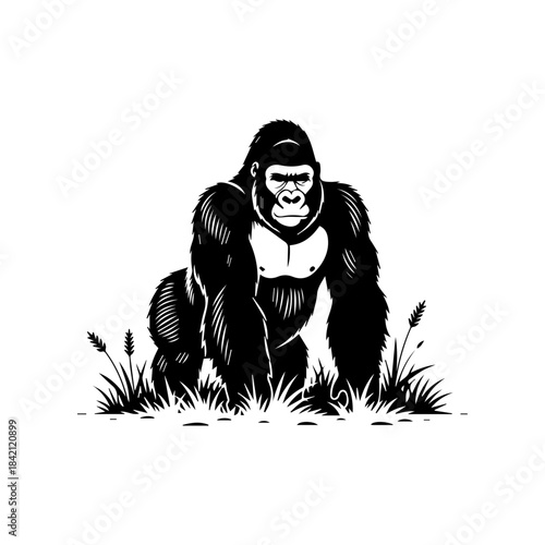 A black-and-white illustration of a gorilla crouching among grass and plants from a frontal viewpoint