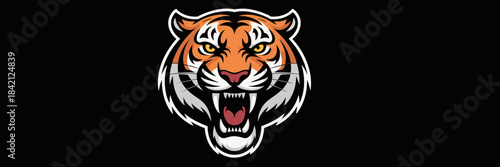 Aggressive Tiger Roaring with Fierce Expression Against Black Background, Sport Mascot, Vector Illustration, Strength and Power Symbol,  Hunting, Wildlife Predator, Jungle Animal, Graphic Design Eleme