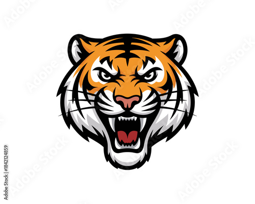 Roaring Tiger Head Vector Illustration in Aggressive Pose on White Backdrop for Sport Team Emblem, Mascot Design, Marketing Campaign, Wildlife Conservation Awareness with Bold Colors, Detailed Texture