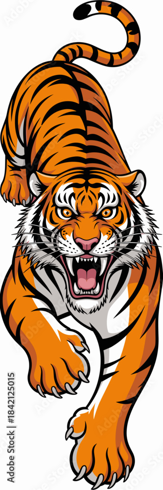 Naklejka premium Roaring Tiger Prowling Forward with Menacing Stare on White Background, Threatening Wildlife Hunter in Action, Cartoon Illustration for Sports Team Mascot, Aggressive Predator Animal Design for Market
