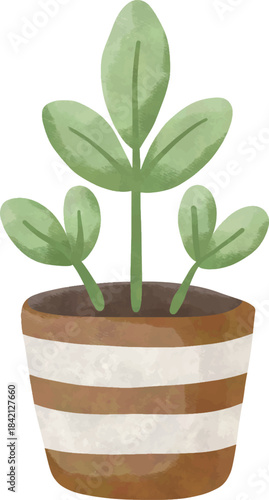Potted Plant Illustration for Men’s Growth and Care