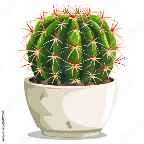 Pincushion cactus in white pot