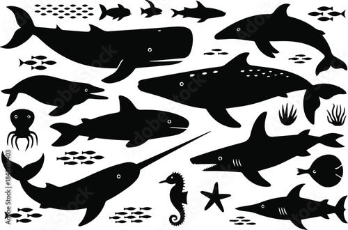 ocean marine animals silhouette vector whale dolphin shark