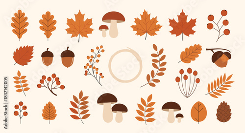 A diverse collection of autumn natural elements including various leaves, mushrooms, acorns, and berries, presented in a stylized flat design.