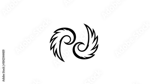 black and white wings