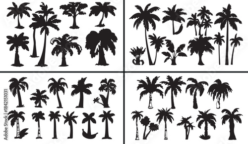 Palm Tree Vector Pattern, Tropical Nature Illustration, Island Landscape Design, Beach Palm Silhouettes, Seamless Summer Background, Exotic Nature Texture, Travel Holiday Pattern, Coastal Tree Vector,