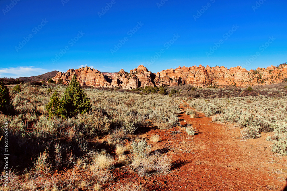 Fototapeta premium Late Afternoon in Cave Valley with a View of the Unusual Red Rock Sandstone Formations on Kolob Terrace Road in Zion National Park in Utah.