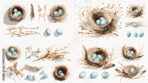 Watercolor illustration set of bird nests eggs feathers and branches arranged as natural collection ideal for wildlife education spring decor and nature inspired design.