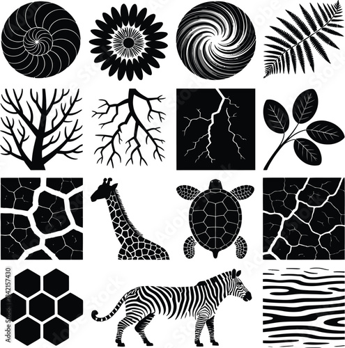 Black and white collection of natural patterns and silhouettes