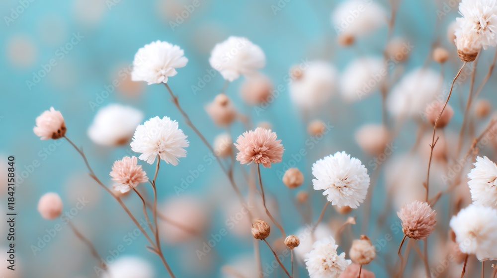 Fototapeta premium Soft pastel blossoms scattered gently, floral background, dreamy botanical calm