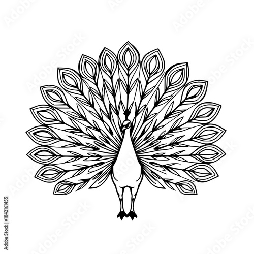 Detailed black line art illustration of a peacock with fully fanned feathers. Elegant and ornamental style perfect for decorative or design applications.