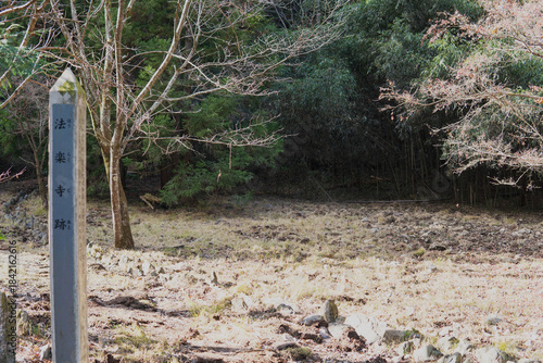 日本：金鑽御嶽（かなさなみたけ）城跡／法楽寺跡の平地／埼玉県神川町