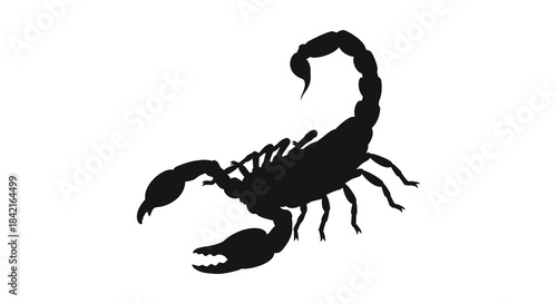 A striking black scorpion image showcasing its segmented body and curved tail a dramatic silhouette