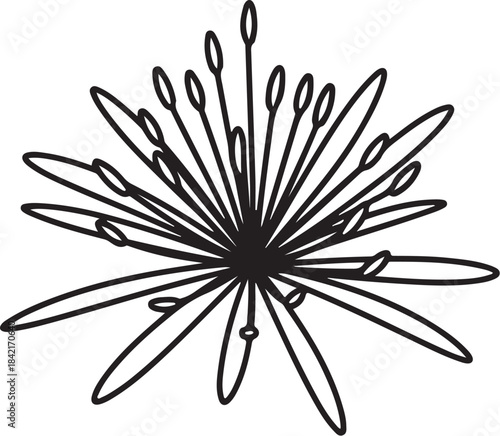 Black outline drawing of a starburst flower or seed head