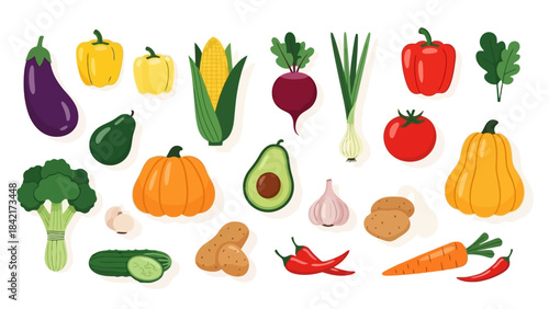 Vibrant Assortment of Fresh Vegetables in a Flat Lay Vector Illustration