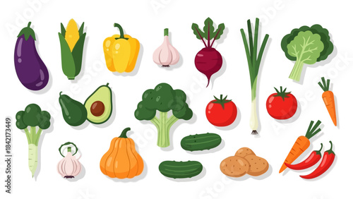 Assortment of Fresh Vegetables, Healthy Food Flat Lay Vector Illustration